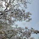 장봉보건지소 이미지