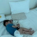 춘천여자고등학교 | 가족여행2일차 | 춘천 우성닭갈비 &amp; 레고랜드 방문 후기