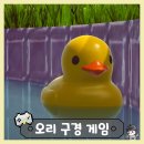 GAME DUCK(게임덕) | 인형들 구경만 하는 게임 플레이 후기 | 플라시드 플라스틱 덕 시뮬레이터(Placid Plastic Duck Simulator)