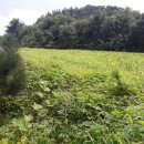 주덕읍사무소 이미지