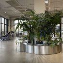 그래티파이 커피 이미지