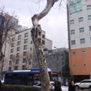 연우한의원 이미지