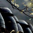 펜션빛뜨란 이미지