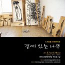 숲속바람