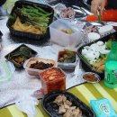 선화농장3 Daum카페