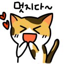 데이글릿 이미지