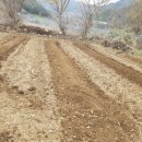 추곡초병설유치원 이미지