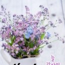 화요일 Daum카페