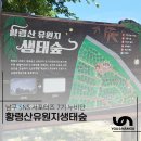 황령산유원지 생태숲 | 묘지였던 곳, 생태숲으로 다시 태어나다! 황령산유원지생태숲