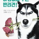 스타견 이미지
