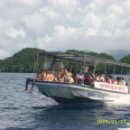 2011,2월 천상의 정원 Palau 문화탐방 안내 이미지