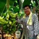 김용태농장 이미지