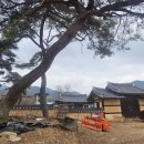풍양조씨 족보판목 및 보각 | 상주시 남장동 - 풍양조씨, 남장재(南長齋)