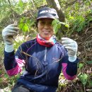 살구정이 이미지