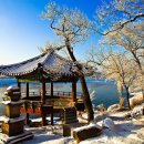 신륵사 - 여주군 | 신륵사