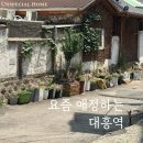 오헨 | 대흥역 카페 추천 | 조용히 머물기 좋은 동네 카페 4곳
