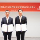 디앤디솔루션