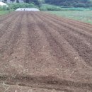 승기농장 이미지