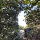 적당한 날 이미지