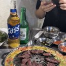 유명갈매기 이미지