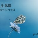 유한회사 이진 | [色독] 삶의 정도(by 윤석철); simplicity! 간결한 것이 강하다. 이 세상을 살아가는 가장 단순화된...