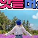 제주테마투어 이미지
