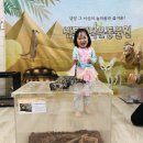 트라엘어린이집 이미지