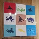 무교동낙지구의점 이미지