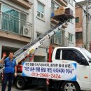 개인화물2424