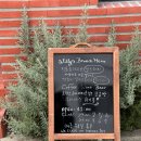 윌리스펫 이미지