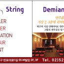 데미안스트링