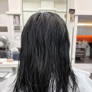 신도림2차푸르지오 | 보그헤어 신도림역점 : 손상모 RC2 클리닉 신도림미용실 구로미용실 신도림디큐브시티