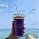 영진커피 티스토리