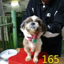 남동대로 이미지