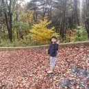 철쭉피는황매골마을 이미지