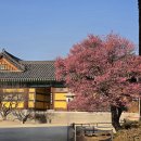 통도사 - 1807 | 통도사