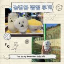 더일상마켓 | [일상] 11월 부산 밀락더마켓, 농담곰 팝업 귀여운 담곰이 카페