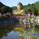 와우정사 이미지