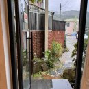 남면도서관 | 정선여행, 건강한 디저트와 힐링되는 분위기의 민둥산카페 &#34;주리스 커피&#34; 재방문후기