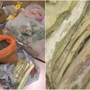 하얀어린이집 이미지