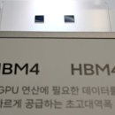 HBM 대란에 엔비디아·AMD “사양 낮춰서라도…” 이미지