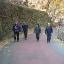 아이조아라 이미지