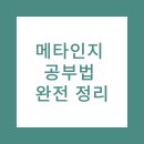 완전학습을 만드는 메타인지 학습법 | 스스로 배우는 아이로 만드는 법: 메타인지 공부법 완전 정리