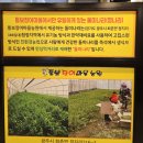 경기지역이륜서비스 노동조합 | 성남 장어 맛집 통보장어마을 성남수진점 방문 추천 후기