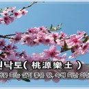 낙토 Daum카페
