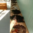 청아농장 이미지