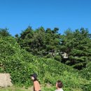 스마일농어촌민박 이미지