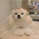 매이븐 이미지