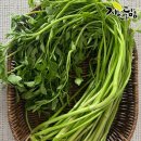 담음 - 서산시 | 담음