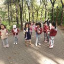 청송유치원 이미지